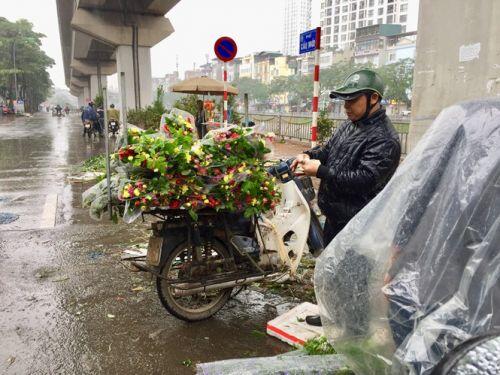 Chiều 30 Tết: Dân thủ đô đội mưa mua hoa 'giá bèo'