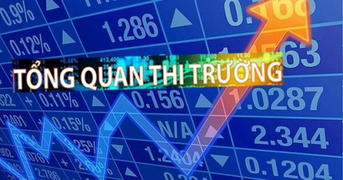 [Infographic] Cơ cấu lại thị trường chứng khoán Việt Nam