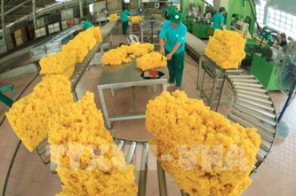 Nông nghiệp Việt Nam và mục tiêu xuất khẩu trên 43 tỷ USD