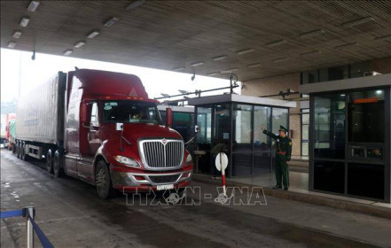 Sáng mùng 2 Tết, xuất khẩu hơn 1.300 tấn nông sản qua Cửa khẩu quốc tế Lào Cai