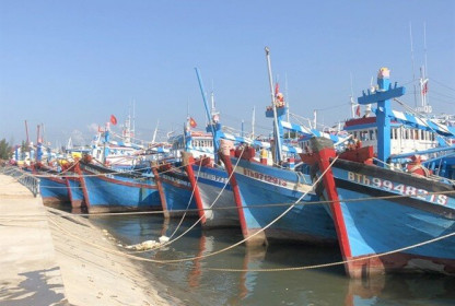 Dính ‘thẻ vàng’, xuất khẩu hải sản sang EU giảm
