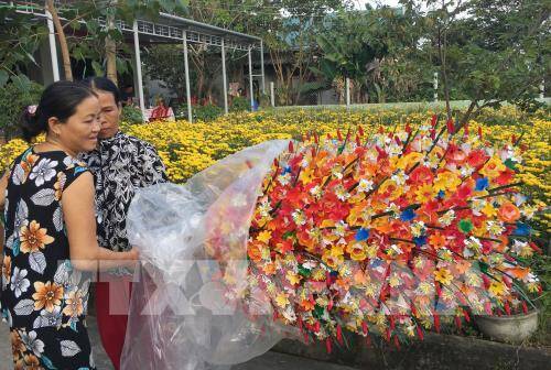 Làng hoa giấy Thanh Tiên: Tô điểm mùa Xuân xứ Huế