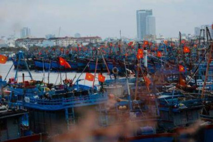 Phát triển kinh tế biển Đà Nẵng-Bài 1: Gìn giữ “chất biển” làm nền tảng cho sự phát triển