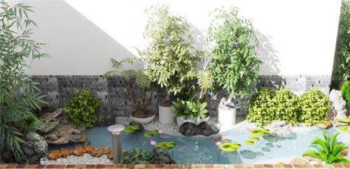 Những mẫu sân vườn xanh ngắt tràn đầy sức sống đón xuân