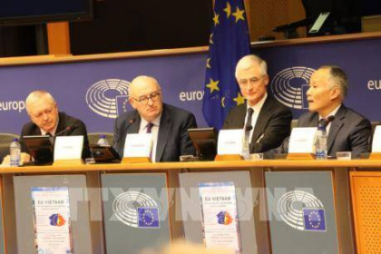 Nghị sĩ châu Âu được thông tin sâu rộng về EVFTA và EVIPA