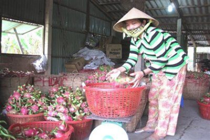 Trung Quốc đóng cửa một số cặp chợ biên giới với Việt Nam