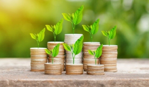 Doanh nghiệp nào chia cổ tức tuần đầu tháng 2?
