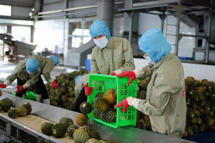 Xuất khẩu nông sản đạt 3 tỷ USD