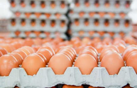 Bộ Công Thương công bố hạn ngạch thuế quan nhập khẩu muối, trứng gia cầm năm 2020