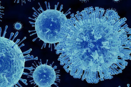 Virus corona dạy ta điều gì? (Kỳ 1)