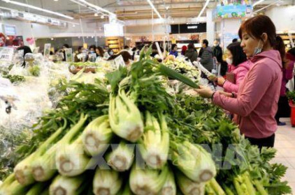 Rau xanh tại Đà Lạt bất ngờ tăng giá trước dịp rằm tháng Giêng
