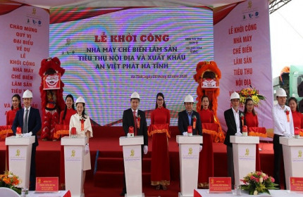 An Việt Phát khởi công dự án nhà máy chế biến lâm sản gần 1.300 tỷ đồng tại Hà Tĩnh
