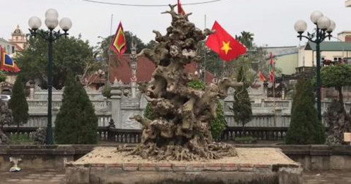 Khúc củi khô 4 tỷ đồng của đại gia đồng nát Hà Nội
