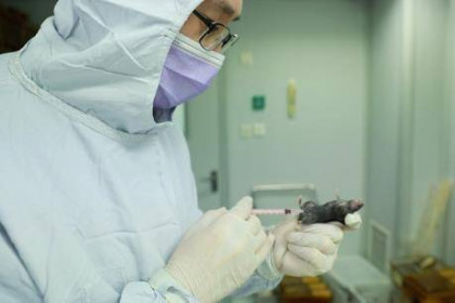 Bắt đầu thử nghiệm trên chuột vaccine ngừa virus corona chủng mới