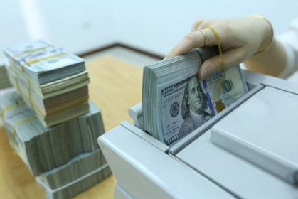Giá USD ngày 12.2: Giảm nhẹ trong nước dù nỗi lo virus Corona chưa tan