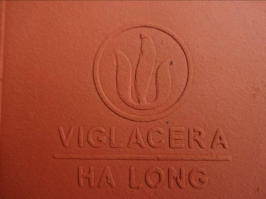 Viglacera Hạ Long lên kế hoạch lãi trước thuế 2020 đạt 156 tỷ, trả cổ tức 20%