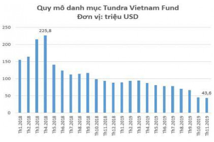 Vì sao Quỹ Tundra Vietnam “lỗ đậm” với cổ phiếu FPT?