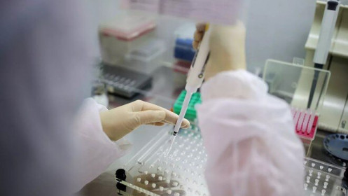 WHO công bố thời gian thử nghiệm vắc-xin chống COVID-19 trên người