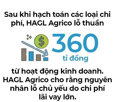 Hoàng Anh Gia Lai còn lại gì?
