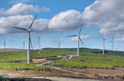 Fico rót hơn 2.500 tỷ đồng làm 2 dự án điện gió tại khu kinh tế Nhơn Hội