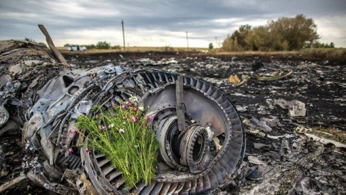 Nhà báo Hà Lan công bố “sốc” về tài liệu vụ máy bay MH17 bị bắn rơi