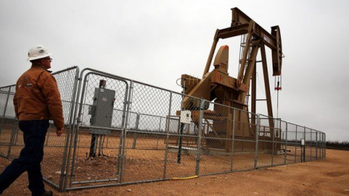 Dầu gần như đi ngang trước dự báo sản lượng dầu đá phiến tại Mỹ giảm