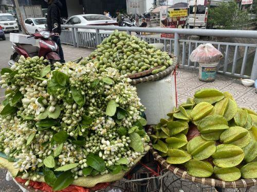 Hoa bưởi thơm ngát các con phố, giá tới nửa triệu đồng/kg
