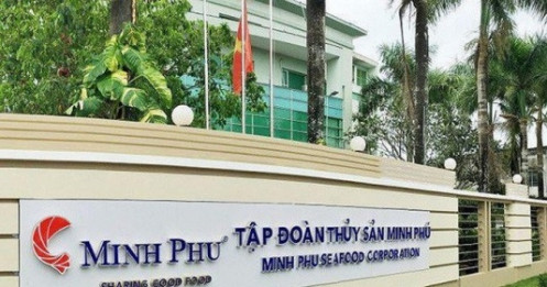 Thủy sản Minh Phú chỉ hoàn thành 34,7% kế hoạch lợi nhuận trong năm 2019