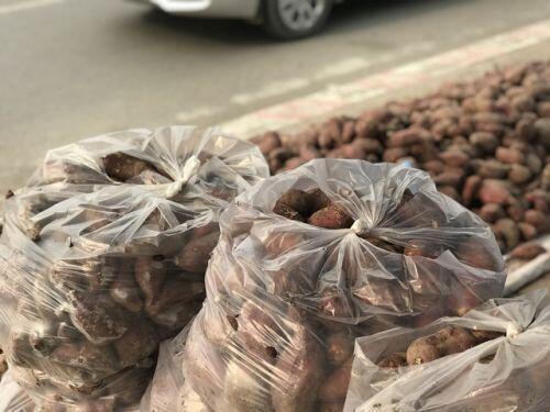 Hàng chục tấn khoai lang nằm la liệt, chờ giải cứu trên vỉa hè Hà Nội