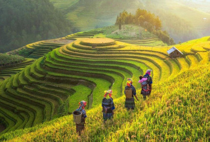 Việt Nam vẫn được các quỹ đầu tư “yêu thương”