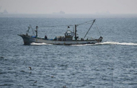 Bộ Ngoại giao thông tin về vụ thuyền viên Việt Nam mất tích trong vụ va chạm tàu ở Nhật Bản