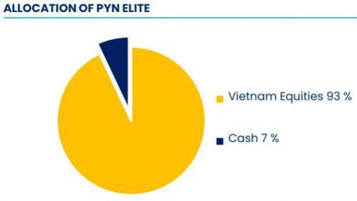 Thành tích tháng 2 kém nhất từ năm 2011, PYN Elite tiết lộ đã chớp thời cơ khi thị trường suy yếu