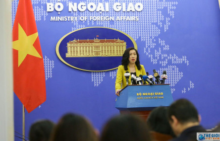 Người phát ngôn: Việt Nam sẵn sàng tiến hành bảo hộ công dân tại Đức và Hàn Quốc