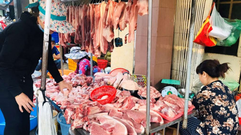 Thủ tướng yêu cầu 3 bộ báo cáo trách nhiệm vì để giá thịt lợn tăng