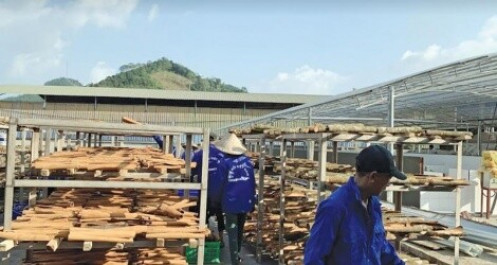 “Bệ phóng” đưa nông sản Việt vào EU