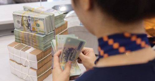SSI Research: “Chưa có cơ sở để phải lo lắng cho tỷ giá USD/VND”