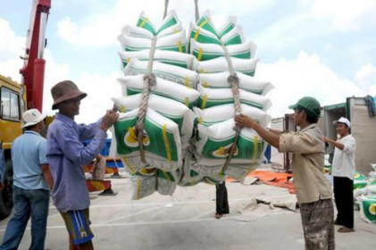 Giá gạo xuất khẩu lên trên 400 USD/tấn