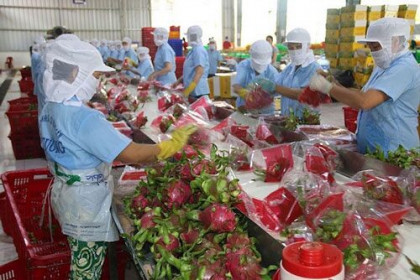 Dự báo Trung Quốc tăng nhập khẩu nông sản vào đầu tháng 4