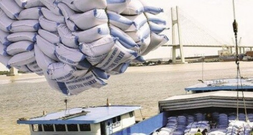 Tạm thời dừng thông quan xuất khẩu gạo