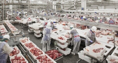 Gần 1.500 tấn thịt lợn Nga đã về đến Việt Nam