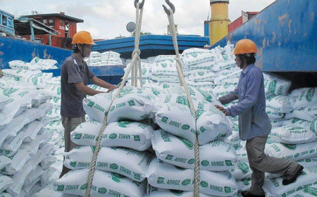 Đề xuất tạm dừng xuất khẩu gạo, Bộ Công Thương nói gì?