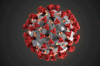 Virus Corona chủng mới có thể âm thầm lây nhiễm suốt nhiều năm qua