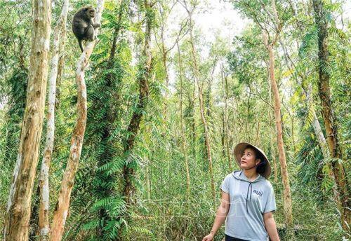 Khu du lịch Sông Trẹm - điểm đến khám phá thiên nhiên tuyệt vời ở Cà Mau