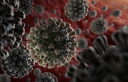 Cập nhật ngày 2/4: Mỹ phát hiện cách virus SARS-CoV-2 trốn hệ miễn dịch, WHO dự báo đỉnh dịch tại Malaysia