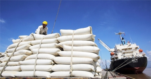 TS. Nguyễn Đức Thành: Dừng xuất khẩu gạo chỉ làm lợi cho các nhóm lợi ích