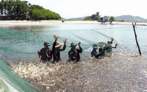 Nha Trang Seafood F17 lên kế hoạch lãi sau thuế 2020 giảm 27%