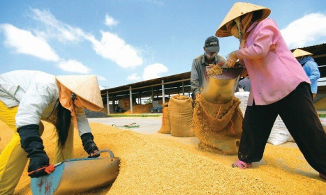 Bộ Công Thương chốt đề xuất xuất khẩu 400.000 tấn gạo trong tháng 4/2020