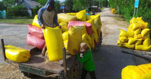 An Giang kêu khó cho doanh nghiệp khi “nghẽn” hơn 82.000 tấn gạo