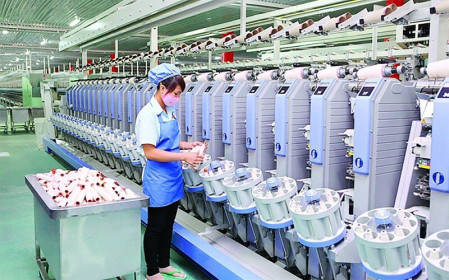 Cổ phiếu cần quan tâm ngày 13/2: TCM, DPM, VEA, HPG