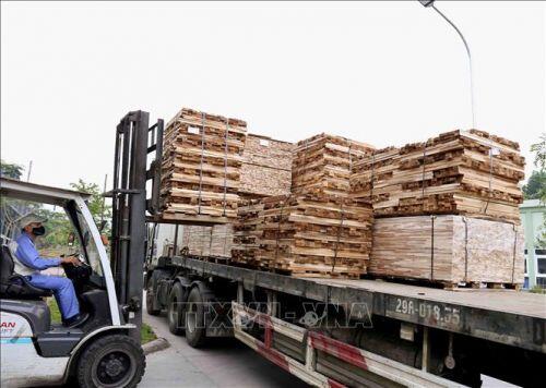 Ngành gỗ 'trắng' đơn hàng xuất khẩu khiến nhiều lao động mất việc